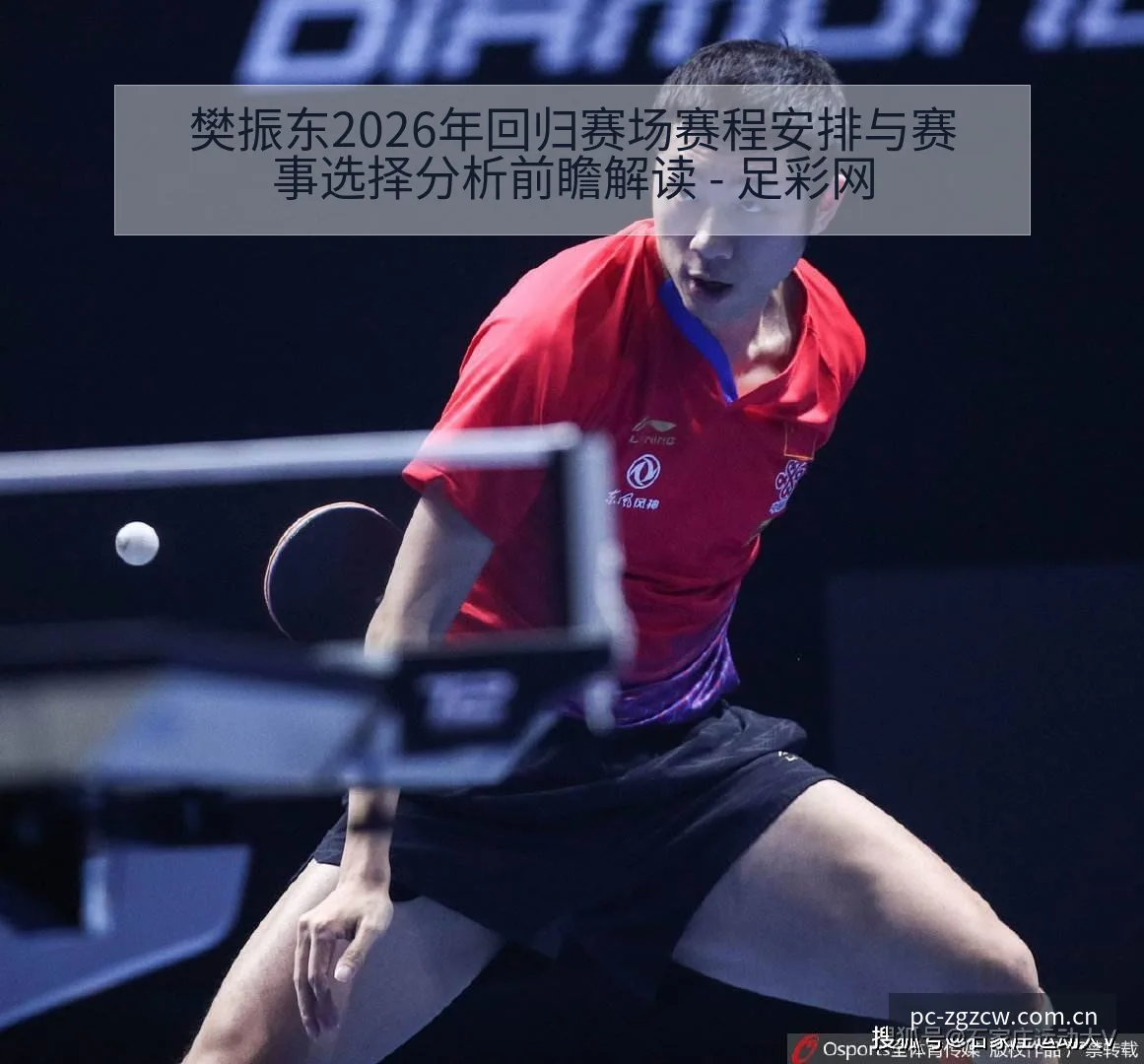 樊振东2026年回归赛场赛程安排与赛事选择分析前瞻解读 - 足彩网